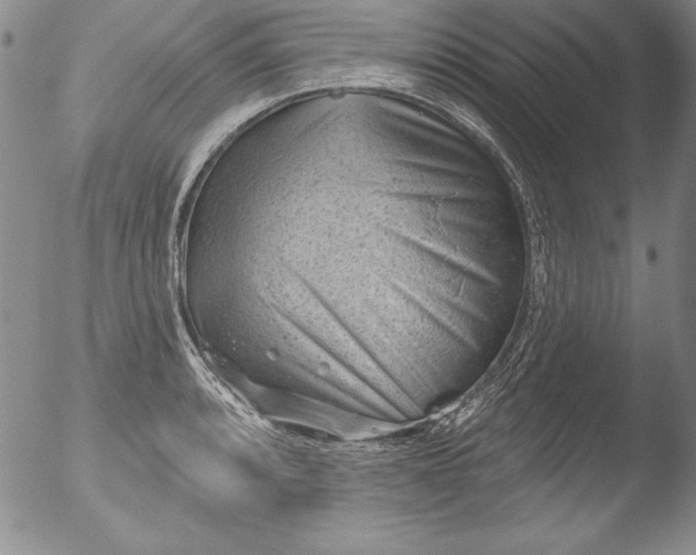 X0000051861088200507081816