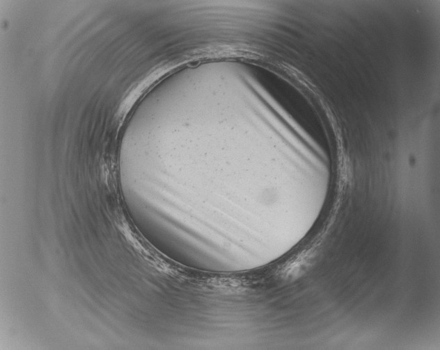 X0000051861089200507081816