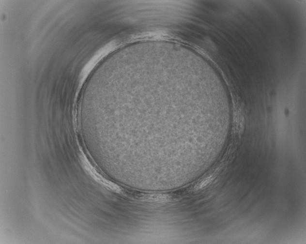 X0000051861090200507081816