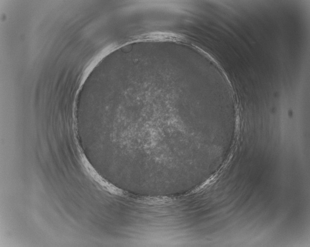 X0000051861091200507081816