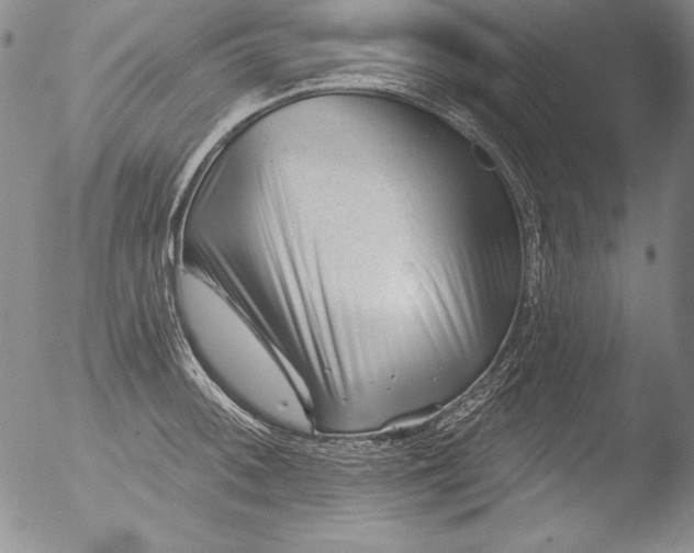 X0000051861092200507081816