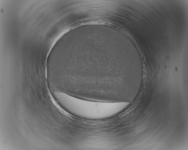 X0000051861095200507081816