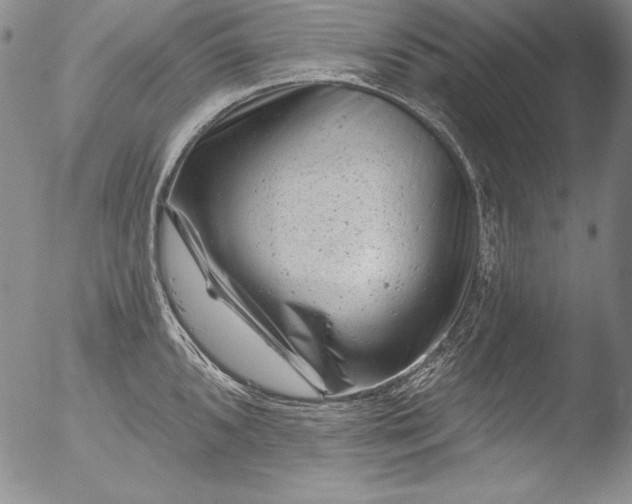 X0000051861096200507081816