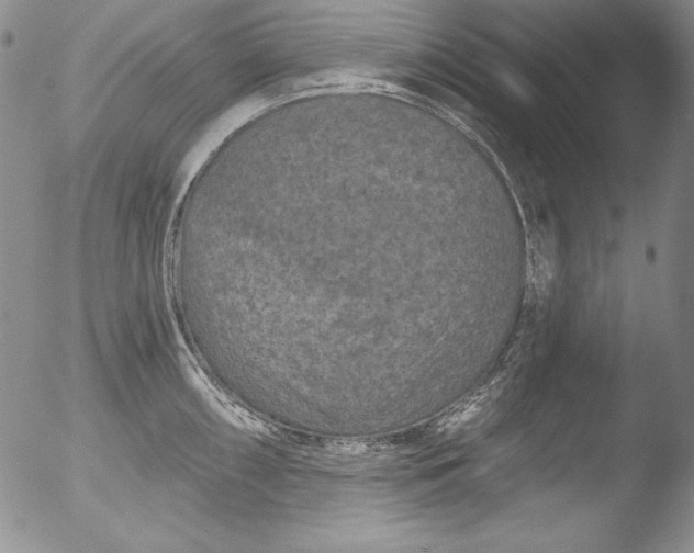 X0000051861098200507081816