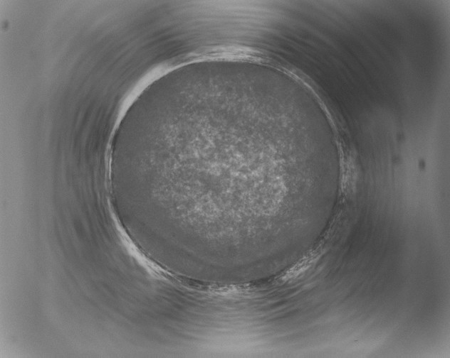 X0000051861099200507081816