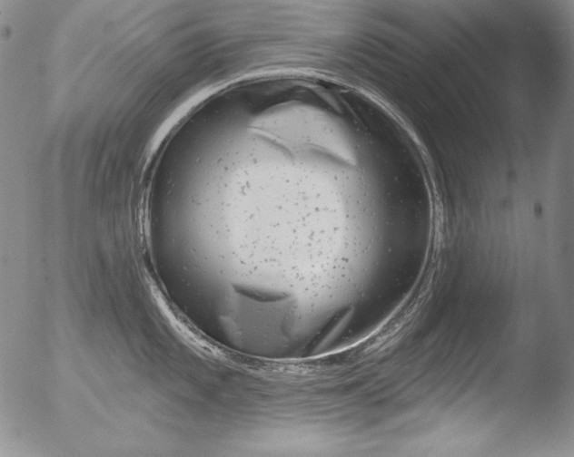 X0000051861101200507081816