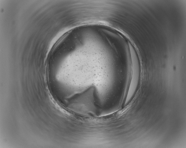 X0000051861102200507081816