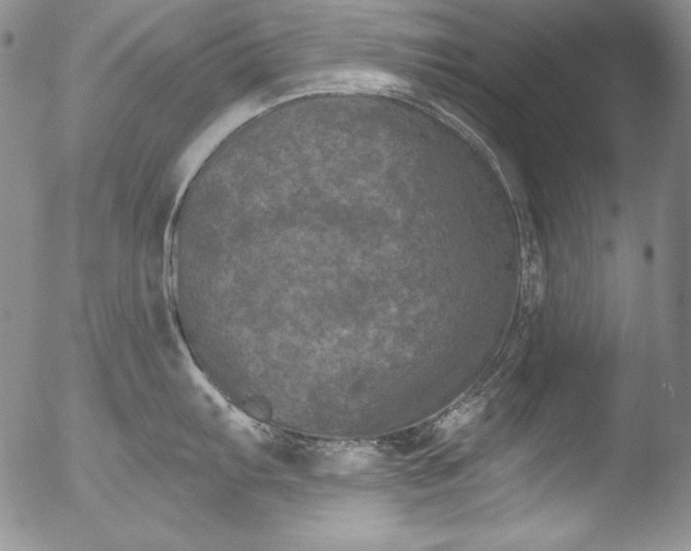 X0000051861103200507081816