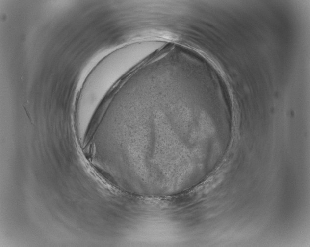 X0000051861104200507081816