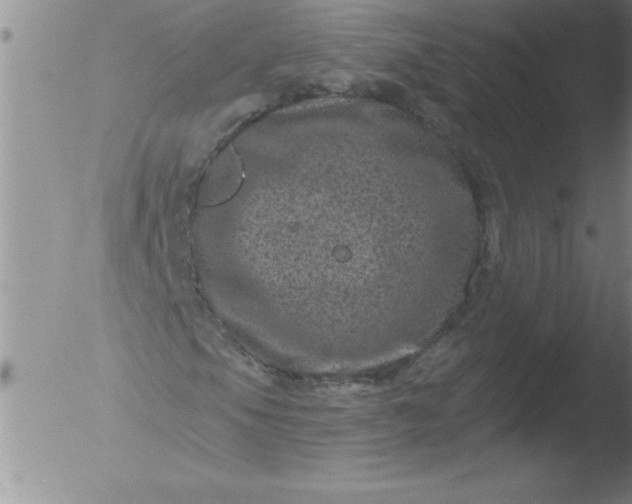 X0000051861105200507081815