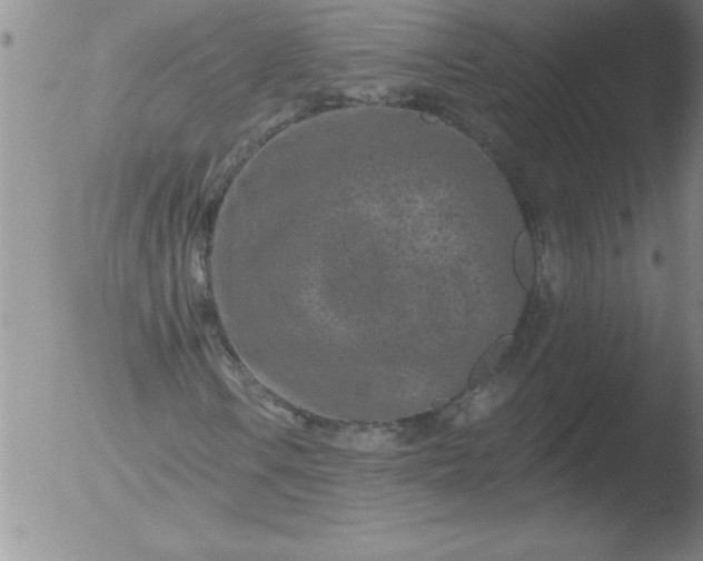 X0000051861106200507081815