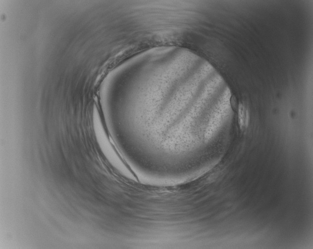 X0000051861107200507081815