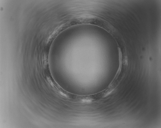 X0000051861108200507081815