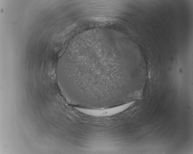 X0000051861109200507081815