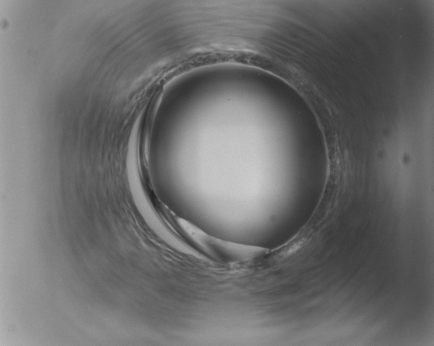 X0000051861110200507081815