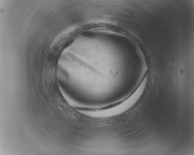 X0000051861111200507081815