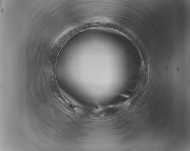 X0000051861112200507081815