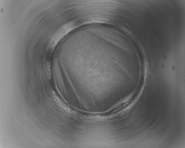 X0000051861113200507081815