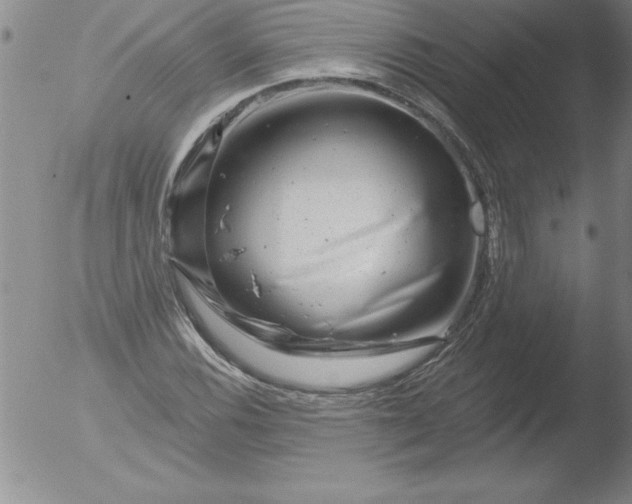 X0000051861116200507081815