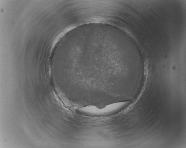 X0000051861117200507081815