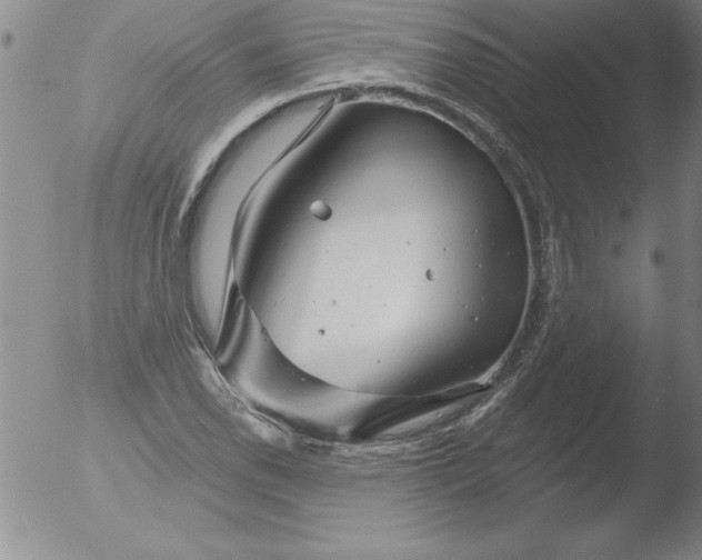 X0000051861118200507081815