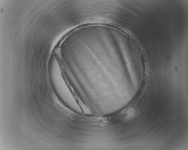 X0000051861120200507081815