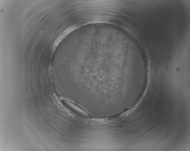 X0000051861121200507081815