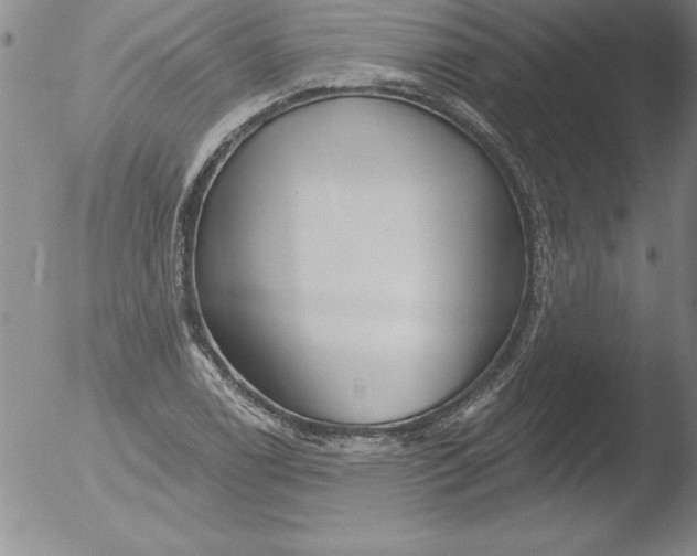 X0000051861122200507081816