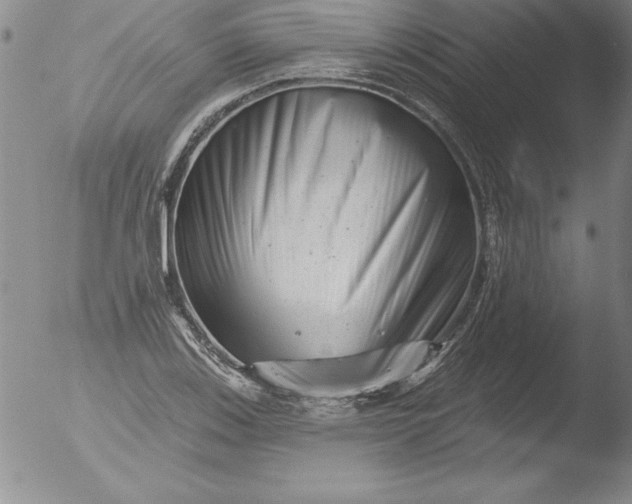 X0000051861123200507081816