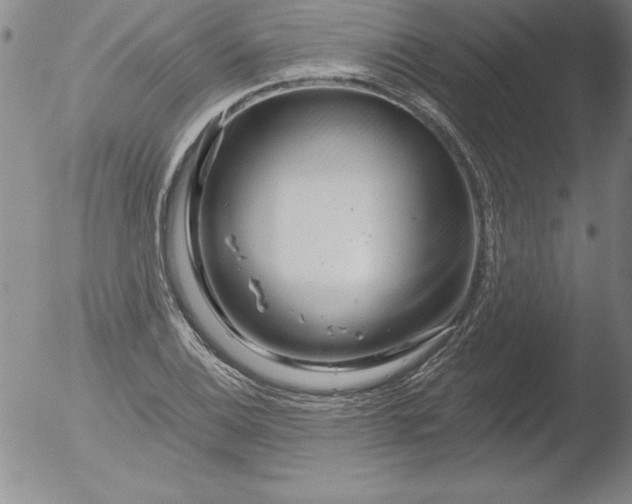 X0000051861124200507081816