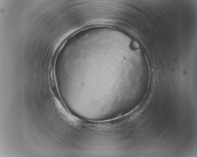 X0000051861125200507081816