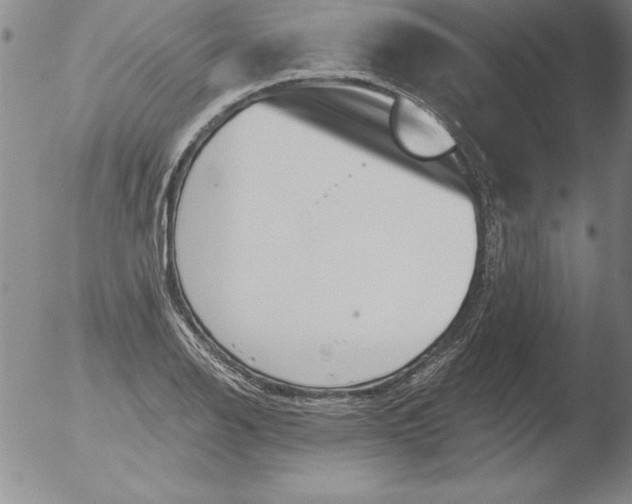 X0000051861126200507081816