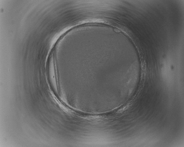 X0000051861127200507081816