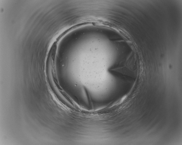 X0000051861128200507081816