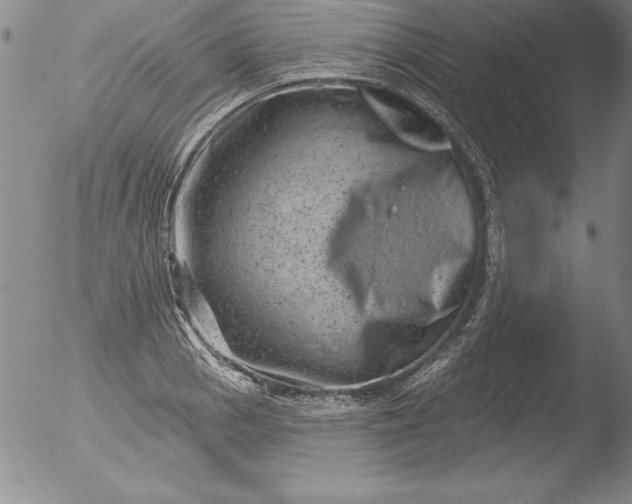 X0000051861129200507081816