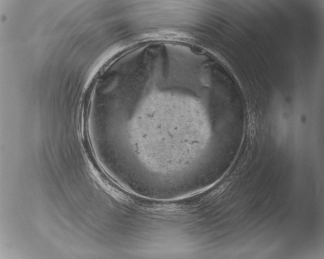 X0000051861131200507081816