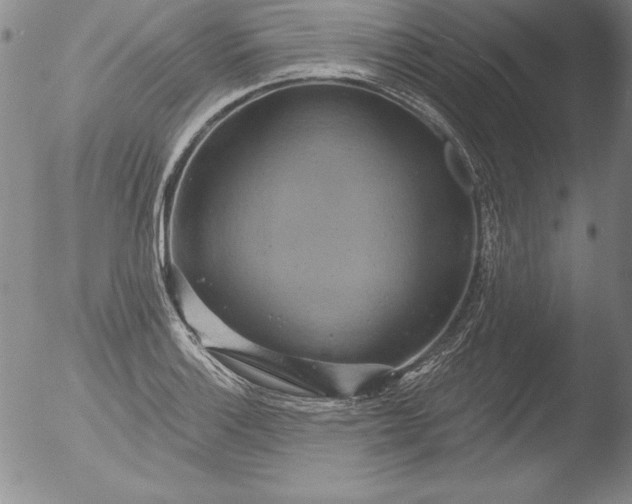 X0000051861132200507081816