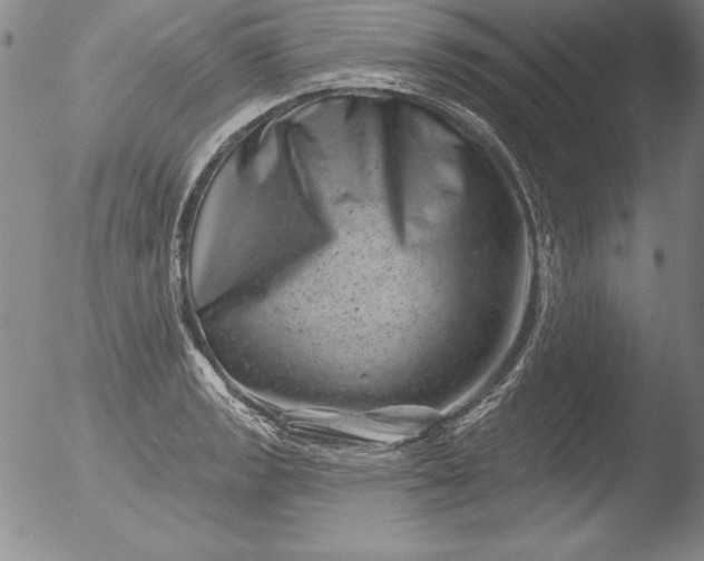 X0000051861133200507081816