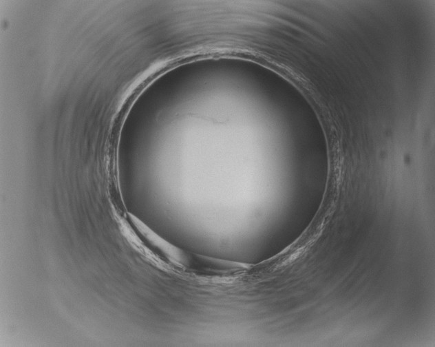 X0000051861134200507081816