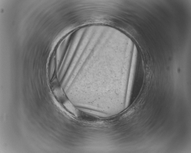 X0000051861135200507081816