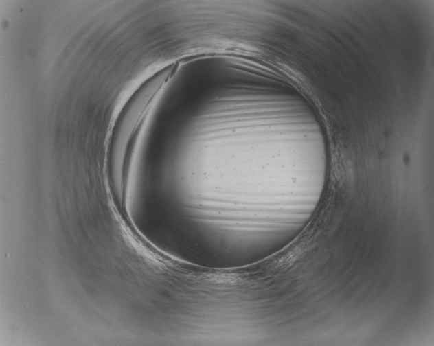 X0000051861136200507081816