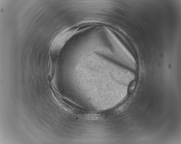 X0000051861137200507081816