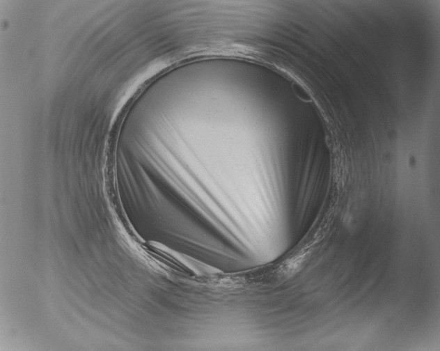 X0000051861139200507081816