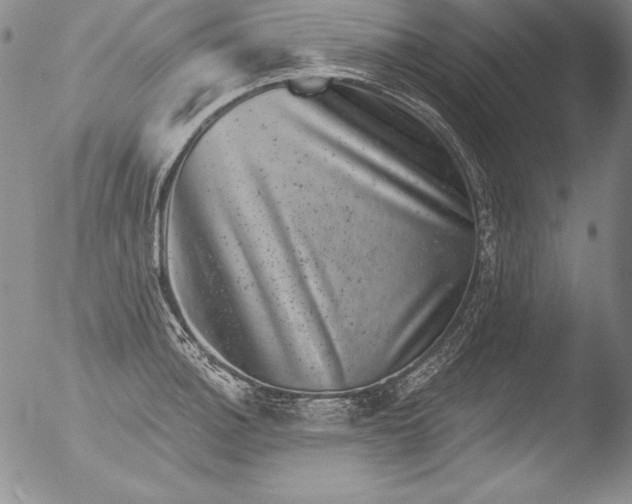 X0000051861140200507081816