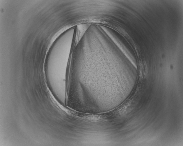 X0000051861141200507081816