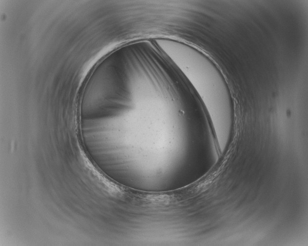 X0000051861142200507081816