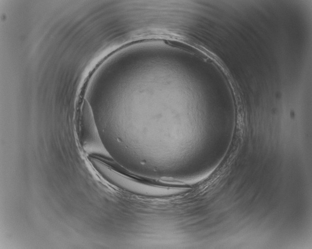 X0000051861144200507081816