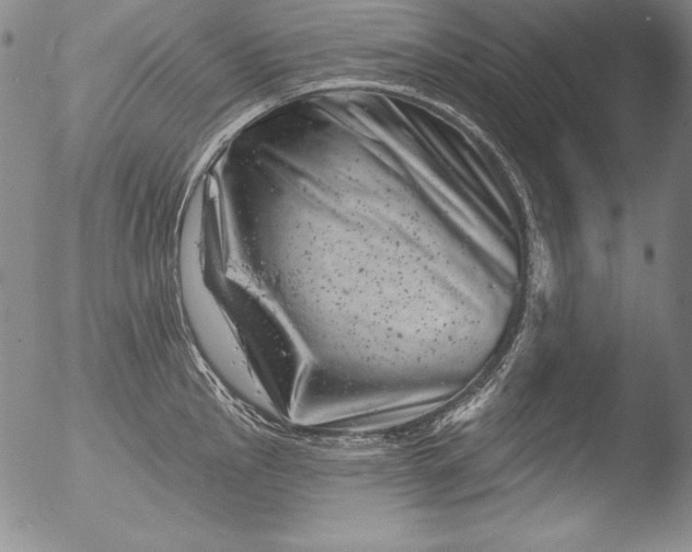 X0000051861145200507081816