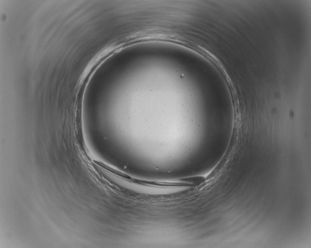 X0000051861146200507081816