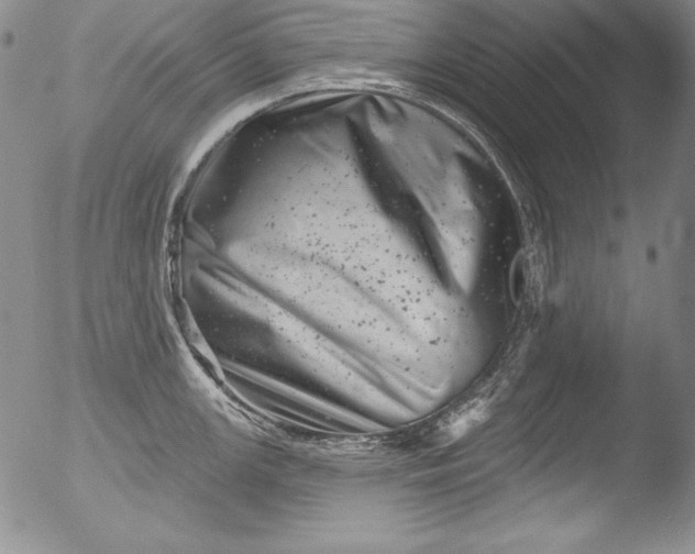 X0000051861147200507081816